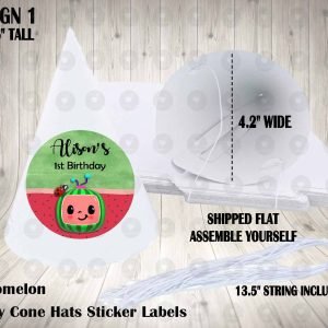 Cocomelon Personalized Cone Hats