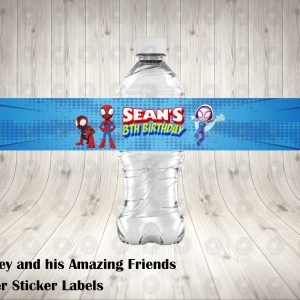 Spidey and his Amazing Friends Water Labels