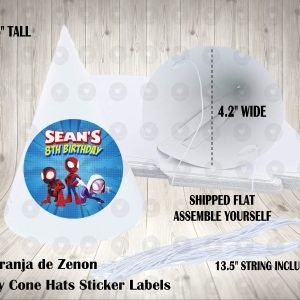 Spidey and his Amazing Friends Personalized Cone Hats